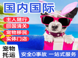 兴义万峰林航空托运国际宠物托运 【国